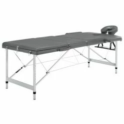 VidaXL Table de massage 3 zones Cadre en aluminium Anthracite 186x68cm
