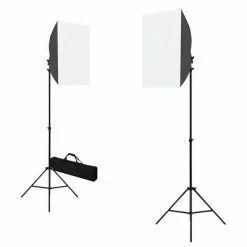 VidaXL Lampes de studio professionnelles 2 pcs 40x60 cm Acier Noir