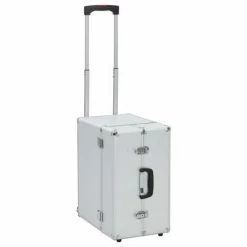 VidaXL Valise de pilote 47 x 39 x 27 cm Argenté Aluminium