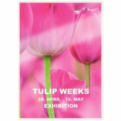 Leitz Pochettes de plastification ILAM 125 microns A5 100 pcs 8 Leitz Pochettes de plastification ILAM 125 microns A5 100 pcs -Autres Soldes image 3 431839