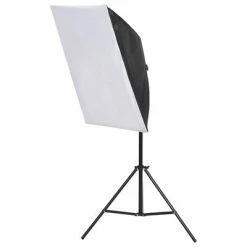 VidaXL Kit d'éclairage studio avec boîtes à lumière -Autres Soldes image 4 190235