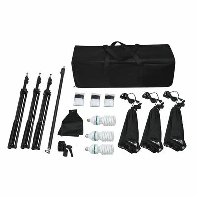 VidaXL Kit de studio photo avec boîtes à lumière et toile de fond 5 VidaXL Kit de studio photo avec boîtes à lumière et toile de fond – Image 5