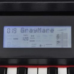 VidaXL Piano numérique avec pédales 88 touches Noir Panneau mélamine -Autres Soldes image 6 70045